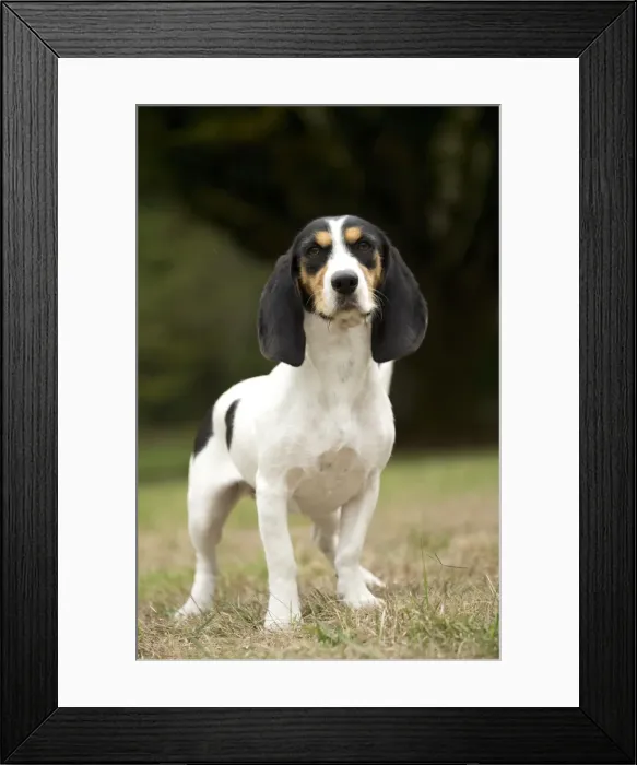 Framed Print : Picture No. 11092210 Framed Print : Picture No. 11092210