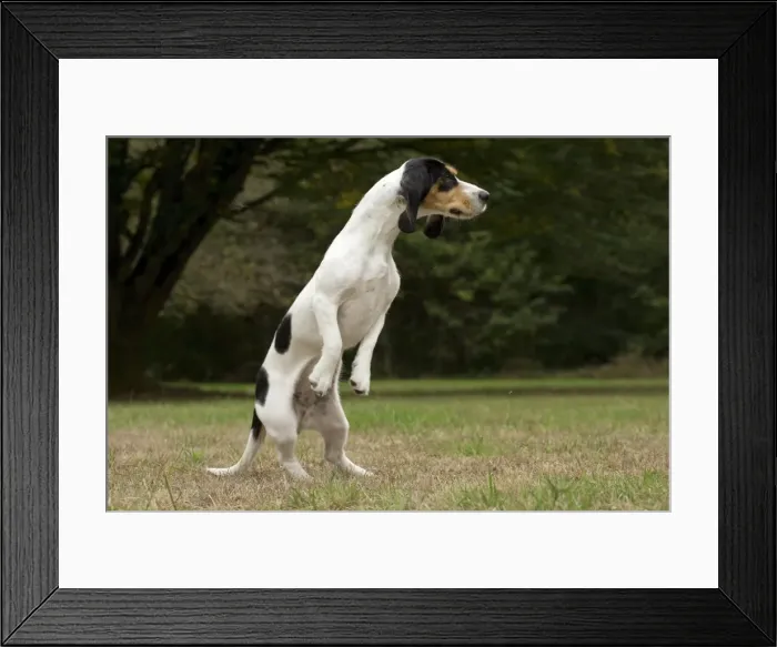 Framed Print : Picture No. 11092211 Framed Print : Picture No. 11092211