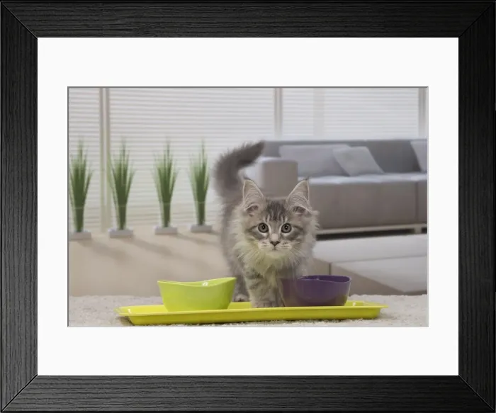 Framed Print : Picture No. 11092219 Framed Print : Picture No. 11092219
