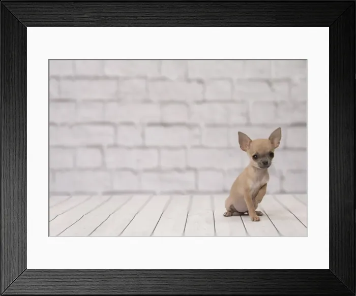 Framed Print : Picture No. 11092256 Framed Print : Picture No. 11092256