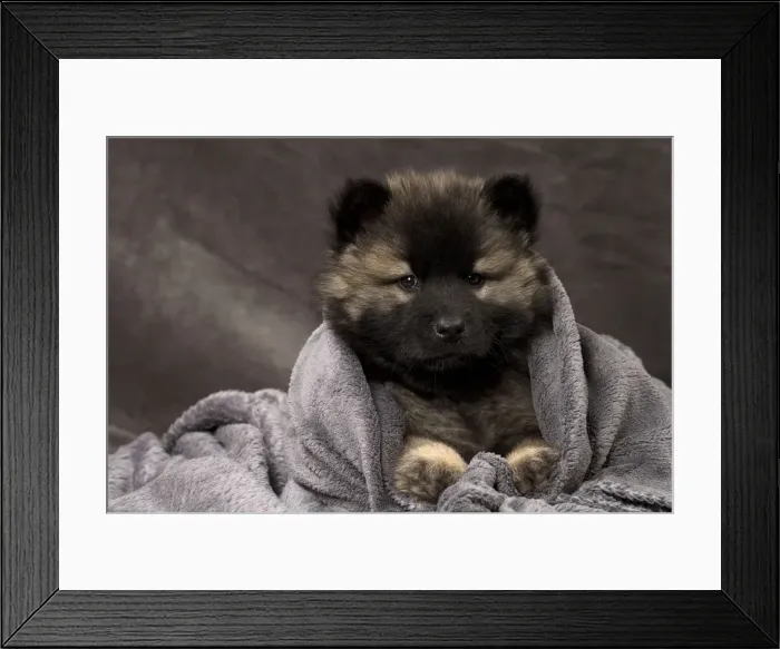 Framed Print : Picture No. 11092270 Framed Print : Picture No. 11092270