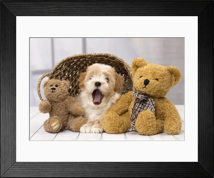 Framed Print : Picture No. 11092287 Framed Print : Picture No. 11092287
