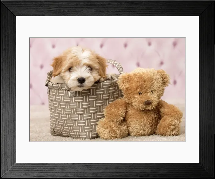 Framed Print : Picture No. 11092299 Framed Print : Picture No. 11092299