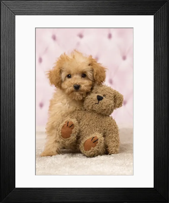 Framed Print : Picture No. 11092309 Framed Print : Picture No. 11092309