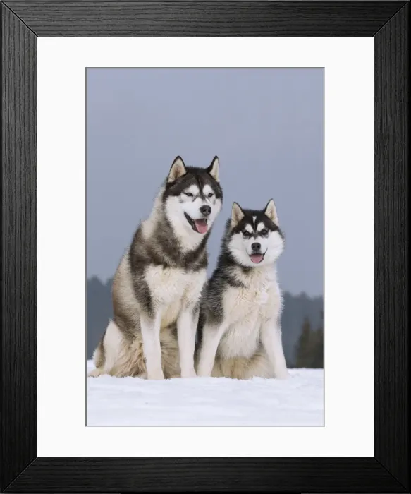 Framed Print : Picture No. 11092336 Framed Print : Picture No. 11092336