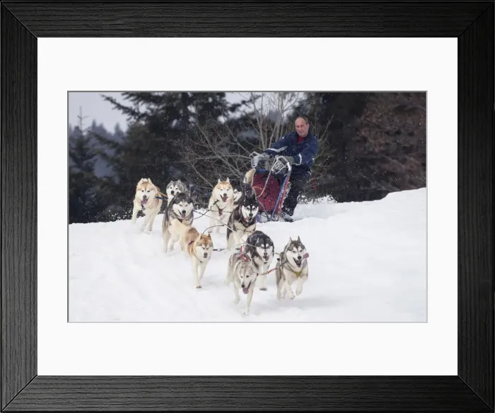 Framed Print : Picture No. 11092364 Framed Print : Picture No. 11092364