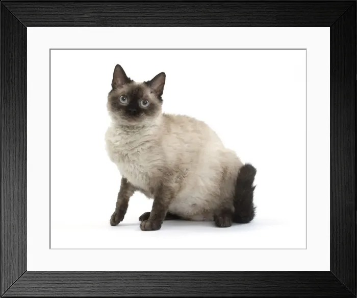Framed Print : Picture No. 11092475 Framed Print : Picture No. 11092475