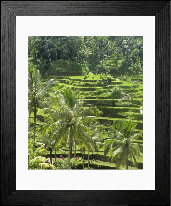 Framed Print : Picture No. 11092506 Framed Print : Picture No. 11092506