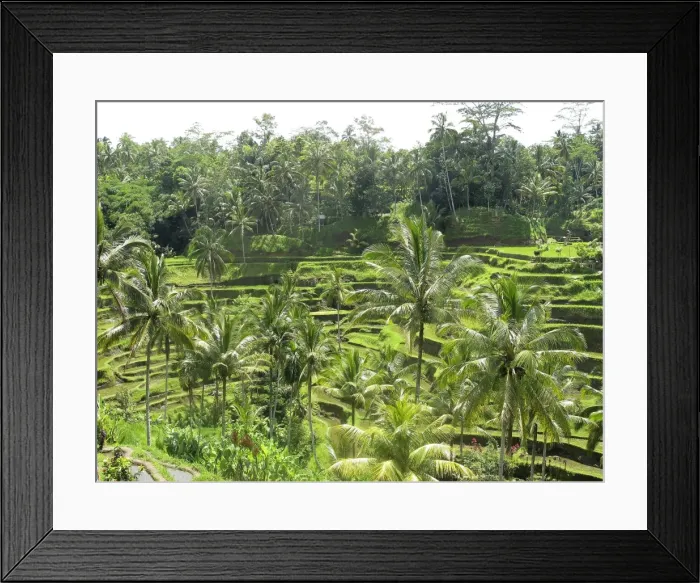 Framed Print : Picture No. 11092507 Framed Print : Picture No. 11092507