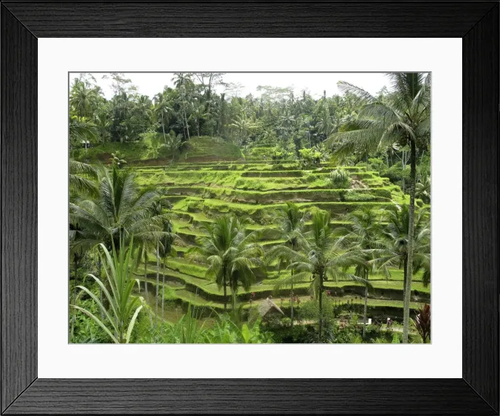 Framed Print : Picture No. 11092511 Framed Print : Picture No. 11092511