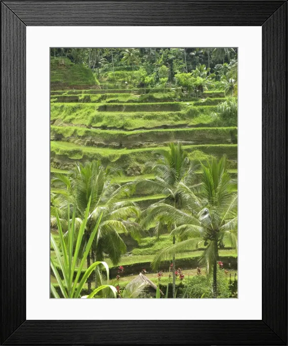 Framed Print : Picture No. 11092510 Framed Print : Picture No. 11092510