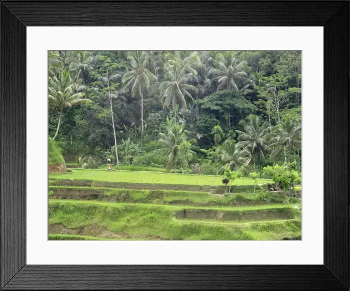 Framed Print : Picture No. 11092513 Framed Print : Picture No. 11092513