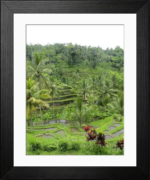 Framed Print : Picture No. 11092512 Framed Print : Picture No. 11092512