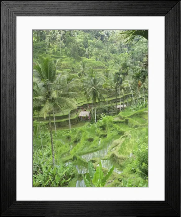 Framed Print : Picture No. 11092514 Framed Print : Picture No. 11092514