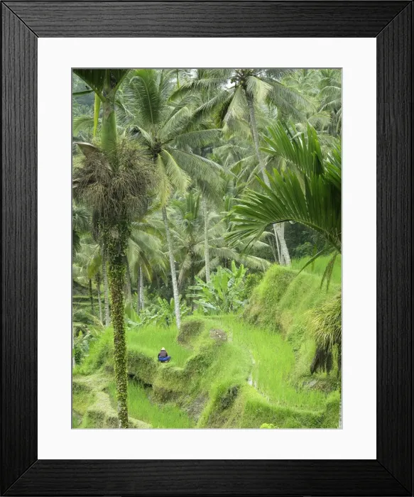 Framed Print : Picture No. 11092515 Framed Print : Picture No. 11092515