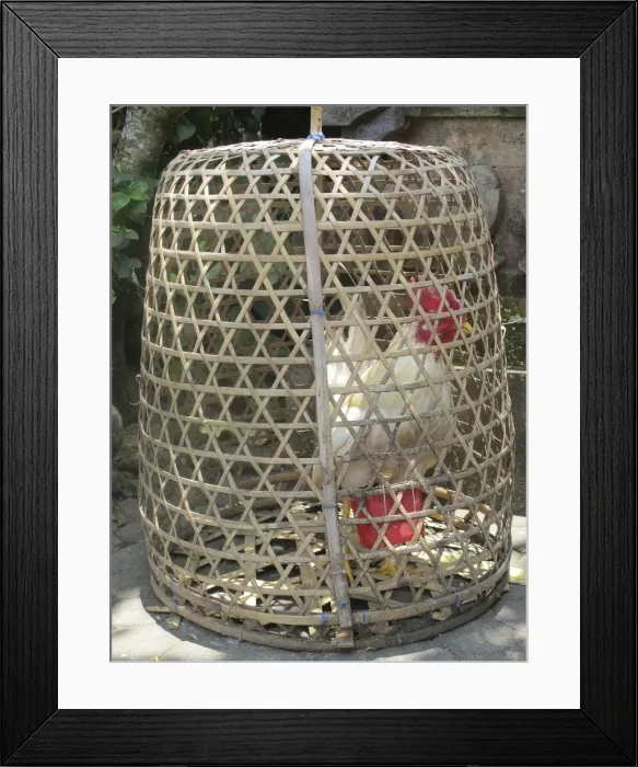 Framed Print : Picture No. 11092517 Framed Print : Picture No. 11092517