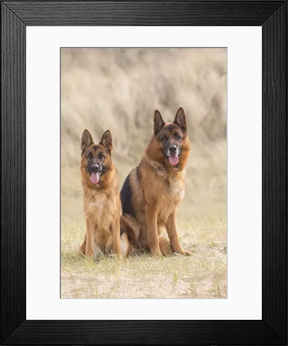 Framed Print : Picture No. 11092558 Framed Print : Picture No. 11092558
