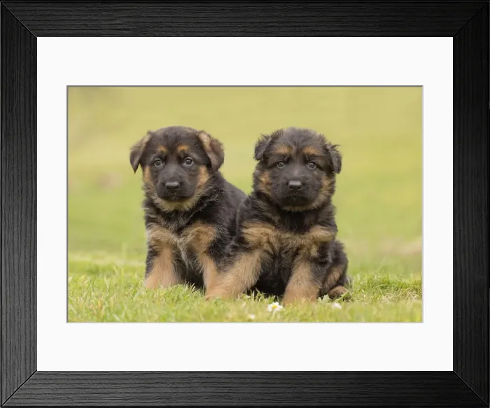 Framed Print : Picture No. 11092570 Framed Print : Picture No. 11092570