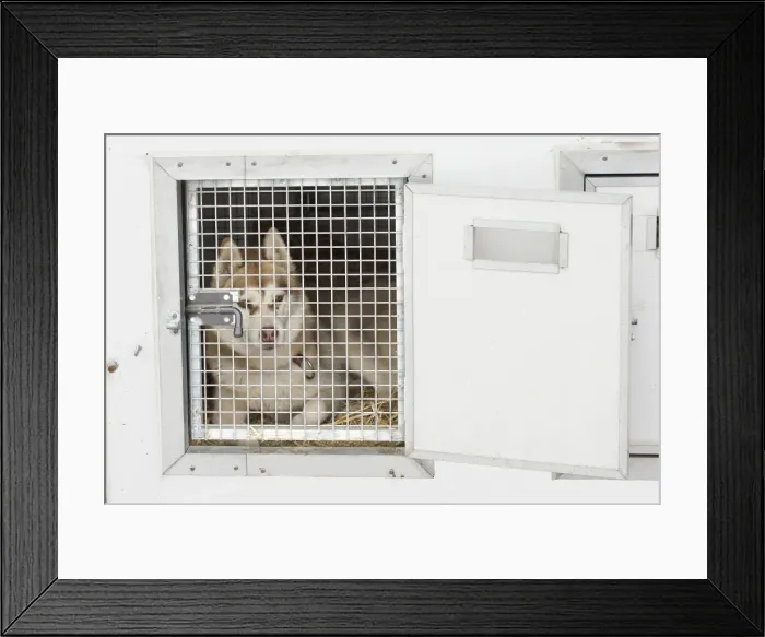 Framed Print : Picture No. 11092602 Framed Print : Picture No. 11092602