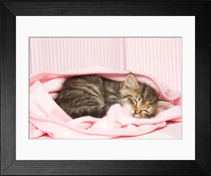 Framed Print : Picture No. 11092622 Framed Print : Picture No. 11092622
