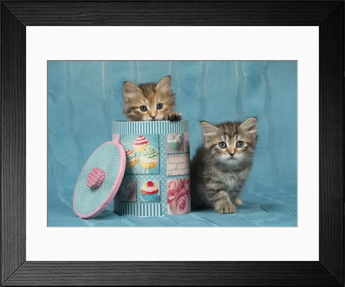 Framed Print : Picture No. 11092654 Framed Print : Picture No. 11092654