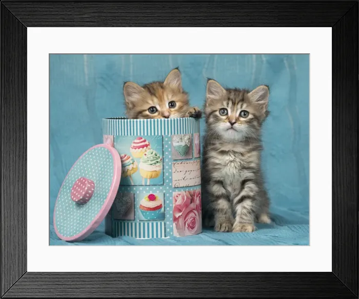 Framed Print : Picture No. 11092655 Framed Print : Picture No. 11092655