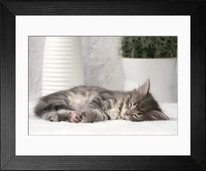 Framed Print : Picture No. 11092664 Framed Print : Picture No. 11092664