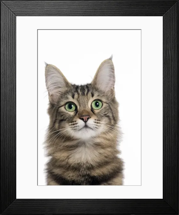 Framed Print : Picture No. 11092689 Framed Print : Picture No. 11092689