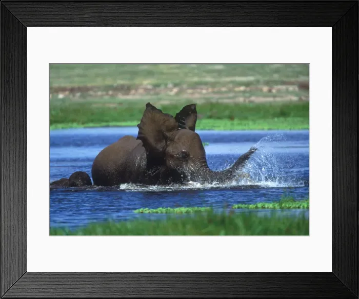 Framed Print : Picture No. 11092793 Framed Print : Picture No. 11092793