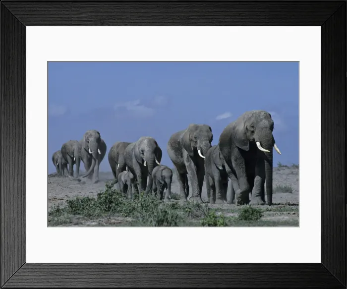 Framed Print : Picture No. 11092794 Framed Print : Picture No. 11092794