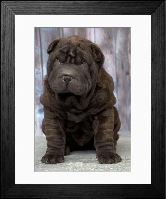 Framed Print : Picture No. 11092850 Framed Print : Picture No. 11092850