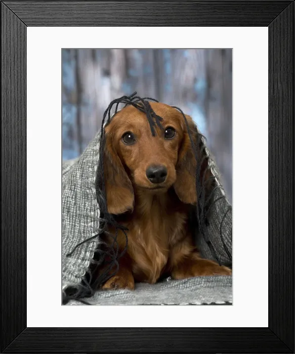 Framed Print : Picture No. 11092853 Framed Print : Picture No. 11092853