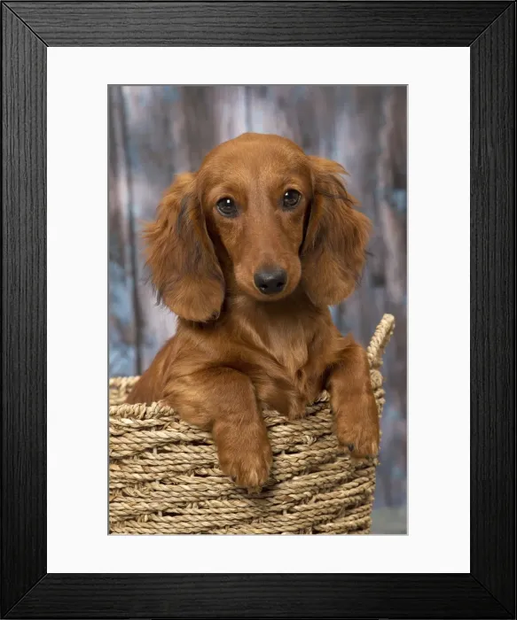 Framed Print : Picture No. 11092854 Framed Print : Picture No. 11092854