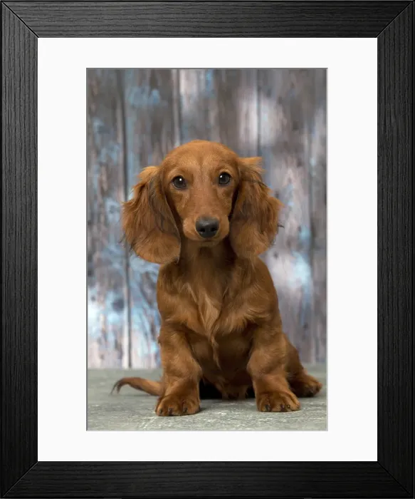 Framed Print : Picture No. 11092856 Framed Print : Picture No. 11092856