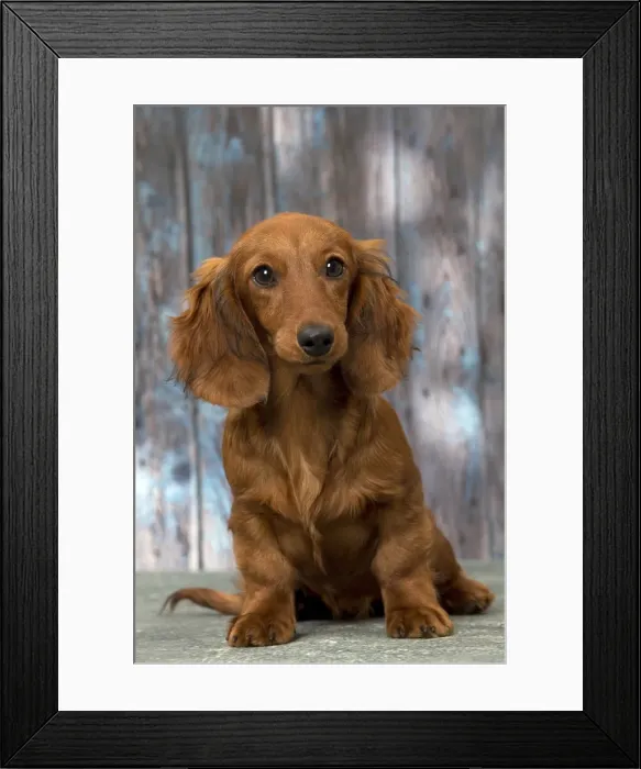 Framed Print : Picture No. 11092857 Framed Print : Picture No. 11092857