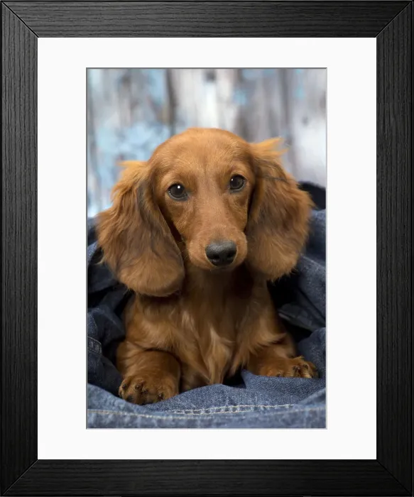 Framed Print : Picture No. 11092858 Framed Print : Picture No. 11092858