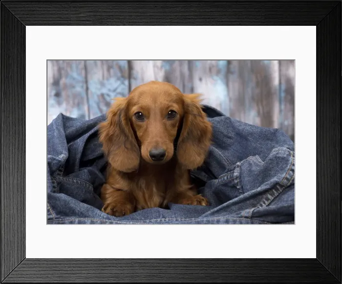 Framed Print : Picture No. 11092859 Framed Print : Picture No. 11092859