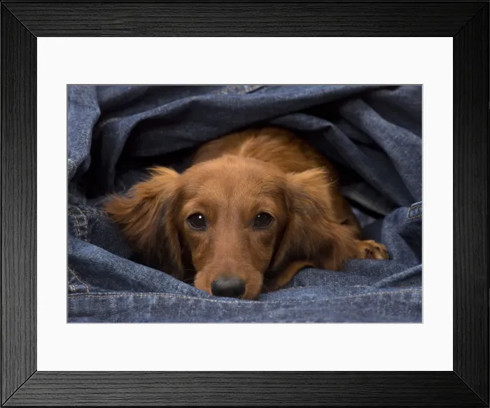 Framed Print : Picture No. 11092860 Framed Print : Picture No. 11092860