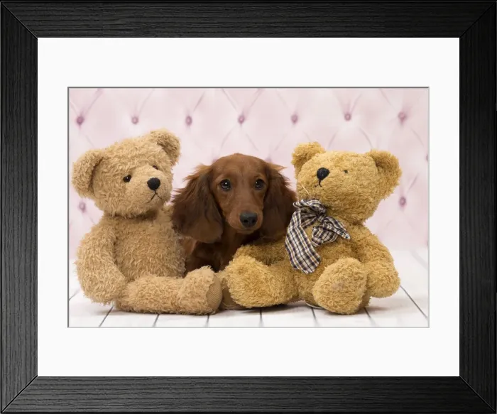 Framed Print : Picture No. 11092863 Framed Print : Picture No. 11092863