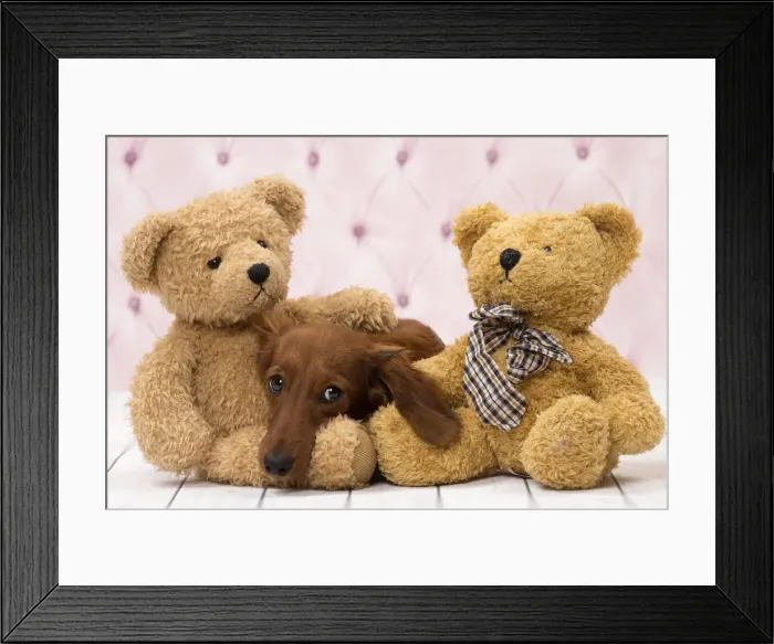 Framed Print : Picture No. 11092864 Framed Print : Picture No. 11092864