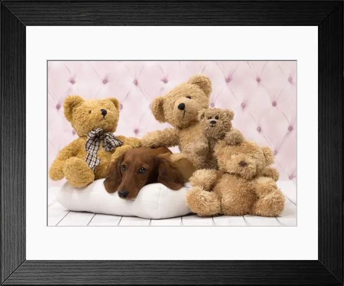 Framed Print : Picture No. 11092865 Framed Print : Picture No. 11092865