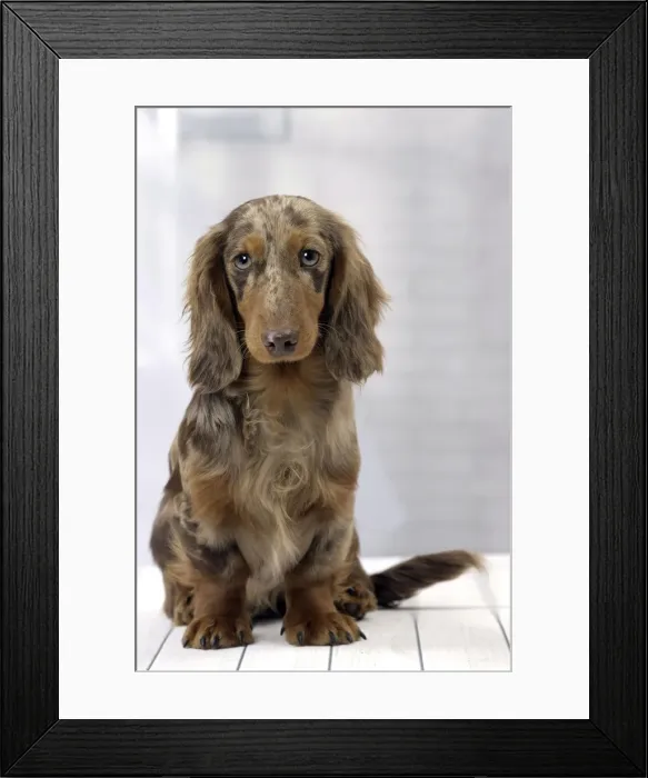 Framed Print : Picture No. 11092870 Framed Print : Picture No. 11092870