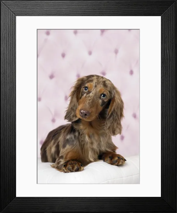 Framed Print : Picture No. 11092872 Framed Print : Picture No. 11092872