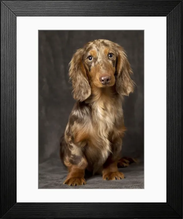Framed Print : Picture No. 11092874 Framed Print : Picture No. 11092874