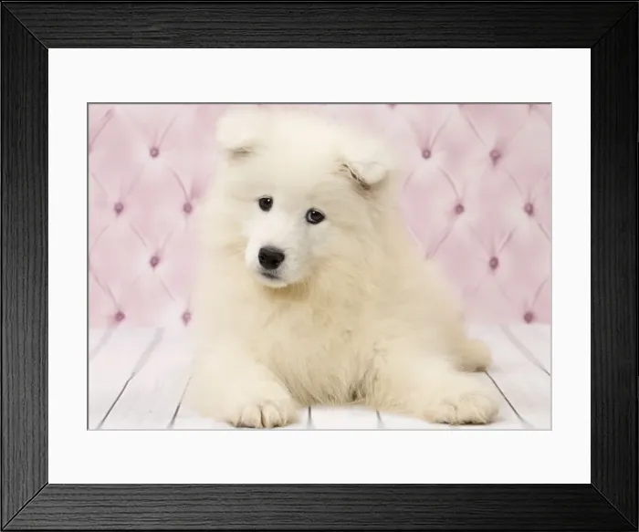 Framed Print : Picture No. 11092879 Framed Print : Picture No. 11092879