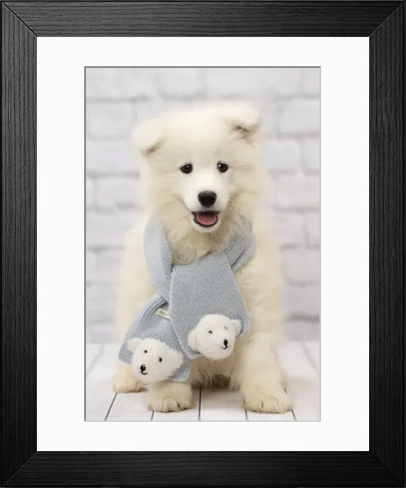 Framed Print : Picture No. 11092882 Framed Print : Picture No. 11092882