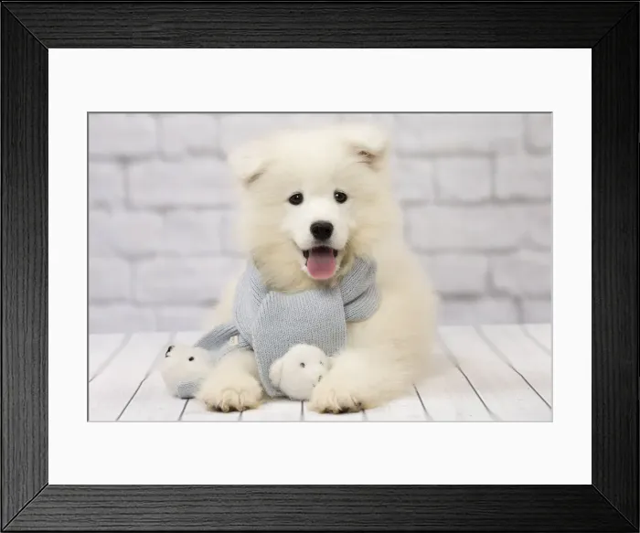 Framed Print : Picture No. 11092883 Framed Print : Picture No. 11092883