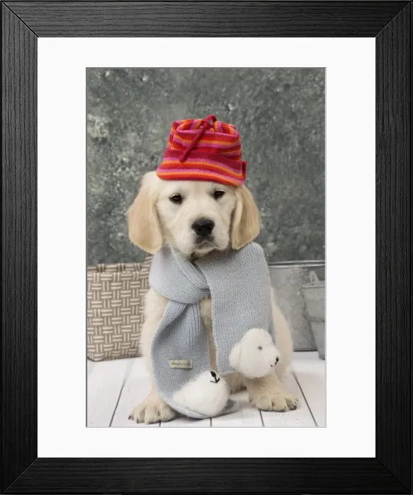 Framed Print : Picture No. 11092891 Framed Print : Picture No. 11092891