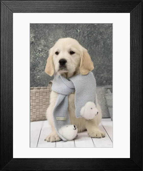 Framed Print : Picture No. 11092892 Framed Print : Picture No. 11092892