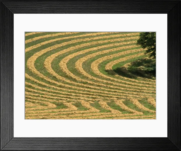 Framed Print : Farming - contoured, rough-ploughed fields. Palouse region of Wshington State, USA Framed Print : Farming - contoured, rough-ploughed fields. Palouse region of Wshington State, USA